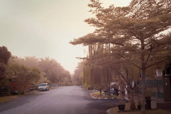 Infrared Image Scene Foliage Suburban Residence — Stock Photo, Image