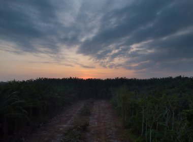Sabahın erken saatlerinde ormansız tarım arazisi manzarası.