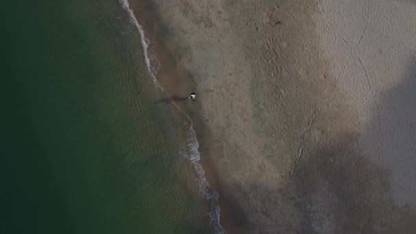 Elevated View Sea Waves Moving Beach — Stock video