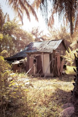 Çiftlikteki terk edilmiş ve izole edilmiş ahşap evin kızılötesi görüntüsü..