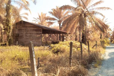 Çiftlikteki terk edilmiş ve izole edilmiş ahşap evin kızılötesi görüntüsü..