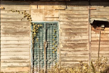 Çiftlikteki terk edilmiş ve izole edilmiş ahşap evin kızılötesi görüntüsü..