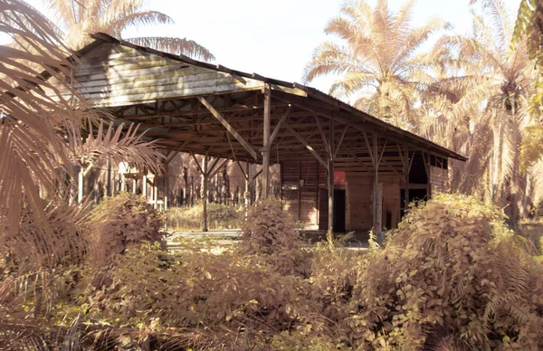 Infrared Image Abandoned Isolated Wood House Plantation — 图库照片