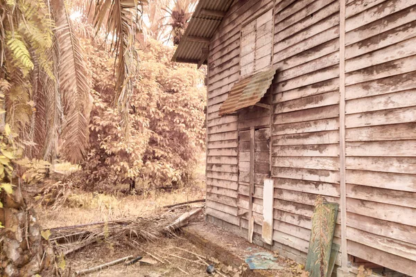 Infrared Image Abandoned Isolated Wood House Plantation — Photo