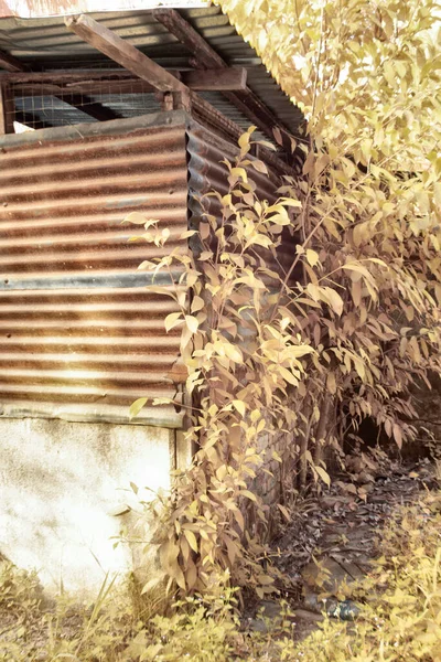 Infrared Image Abandoned Isolated Wood House Plantation — Photo