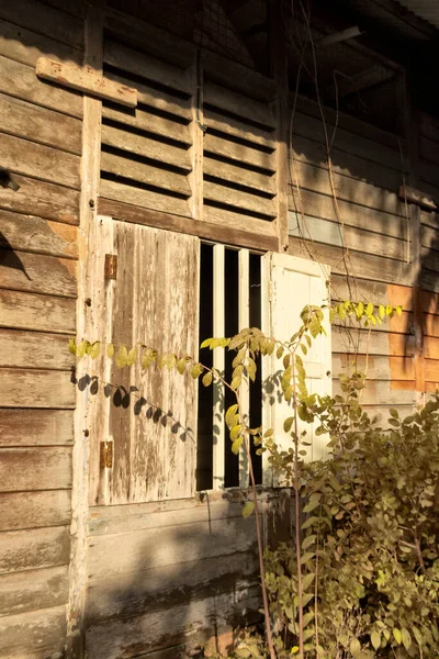 Infrared Image Abandoned Isolated Wood House Plantation — Stockfoto