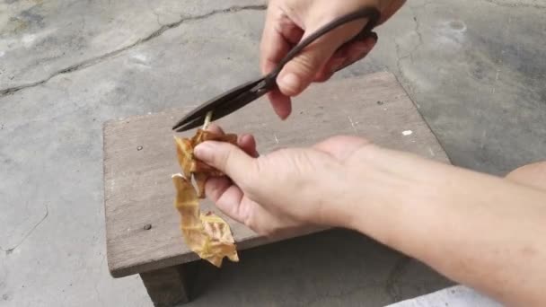 Single Old Traditional Chinese Antique Scissor — стоковое видео
