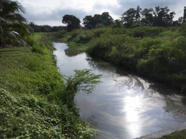 irrigation river polluted with minor oily liquid on water surface.