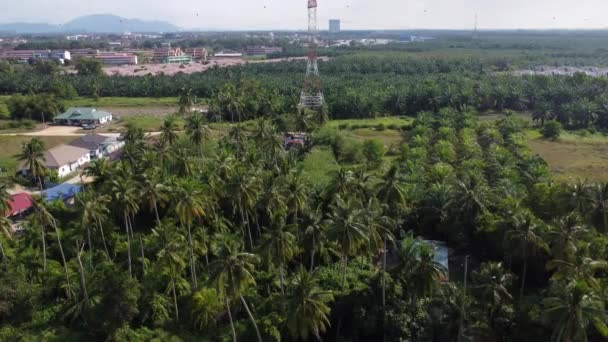 Περιβάλλον Γύρω Από Απλό Αγροτικό Χωριό Malay — Αρχείο Βίντεο