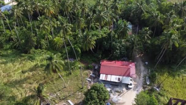 Environment Simple Rural Malay Village — Stockvideo
