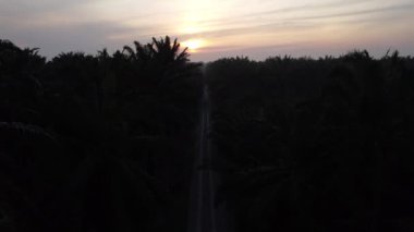 unknown motorist journey into the farmland.