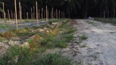bamboo poles tied with fine metal wire string for creeping vine plant farming.