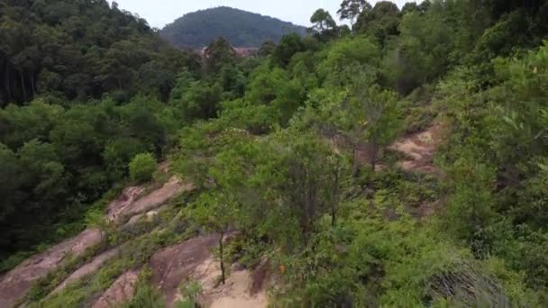 Aerial Scene Hilly Rainforest — 비디오