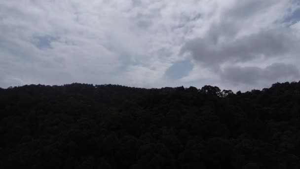Aerial Scene Hilly Rainforest — Vídeo de stock