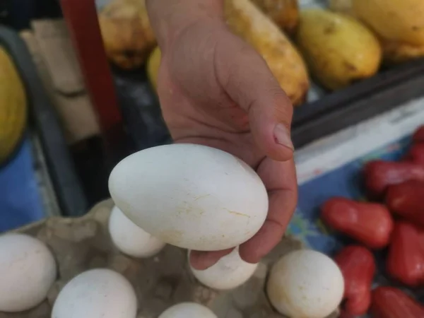 Displaying Big Goose Egg Sale — Stockfoto