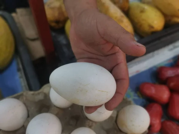 Displaying Big Goose Egg Sale — Fotografia de Stock