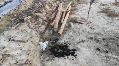 bamboo poles in symmetrical rows for creeping vine farm.