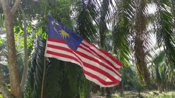 Wind Blowing Malaysian Flag Plantation — Vídeo de Stock