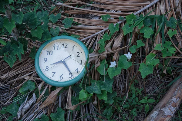 Spoiled Analog Clock Thrown Bush — Fotografie, imagine de stoc