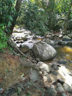 rocky flowing river stream in the jungle