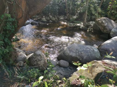 rocky flowing river stream in the jungle