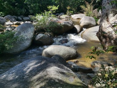 rocky flowing river stream in the jungle