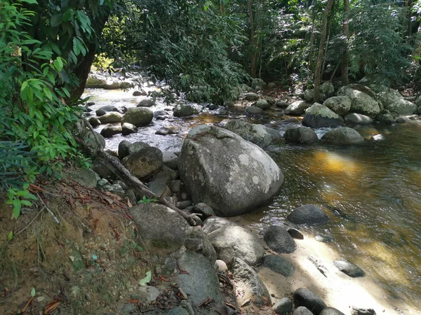 Rocky Flowing River Stream Jungle — Stockfoto