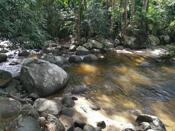 rocky flowing river stream in the jungle