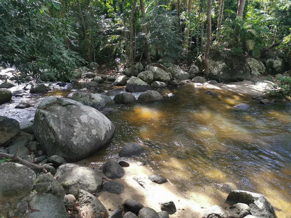 Rocky Flowing River Stream Jungle — Foto Stock