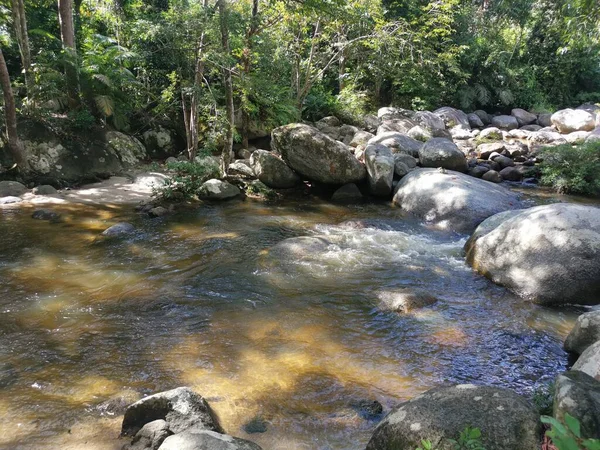rocky flowing river stream in the jungle
