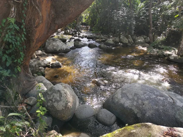 rocky flowing river stream in the jungle