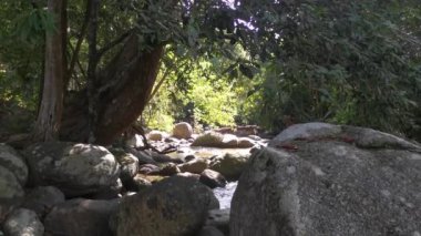 stream flowing through the rocky river in the jungle