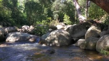 stream flowing through the rocky river in the jungle