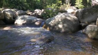 stream flowing through the rocky river in the jungle