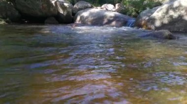 stream flowing through the rocky river in the jungle