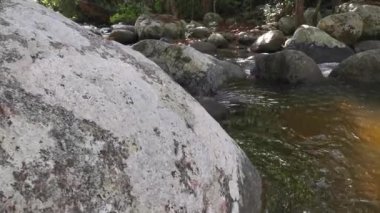 stream flowing through the rocky river in the jungle