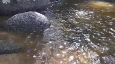 stream flowing through the rocky river in the jungle