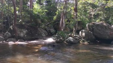 stream flowing through the rocky river in the jungle