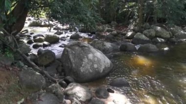 stream flowing through the rocky river in the jungle