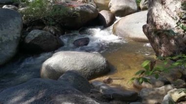 stream flowing through the rocky river in the jungle