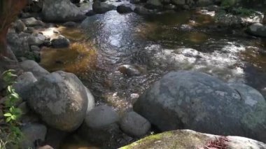 stream flowing through the rocky river in the jungle