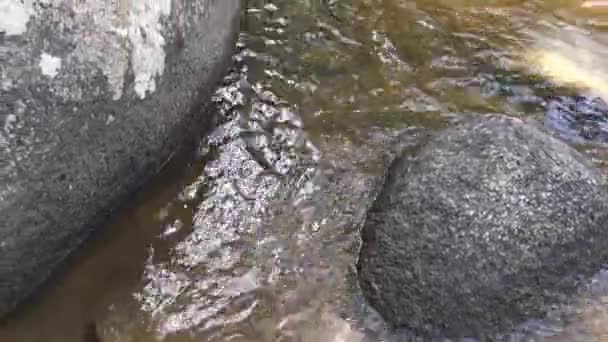 Поток Протекающий Через Скалистую Реку Джунглях — стоковое видео