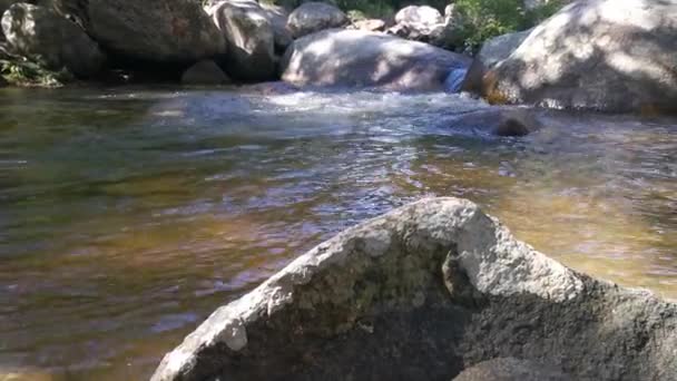 Струмок Тече Через Скелясту Річку Джунглях — стокове відео