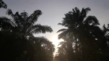 bright morning light beaming onto the gravel pathway