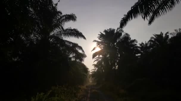 Bright Morning Light Beaming Gravel Pathway — Vídeos de Stock