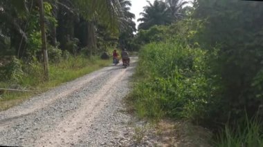 Perak,Malaysia.August 26,2022: Scene of a couple of workers riding their motorcycles into the plantation at Kg Koh Oil Palm Estate.