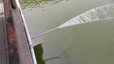 water flowing from PVC pipe line into the pond.
