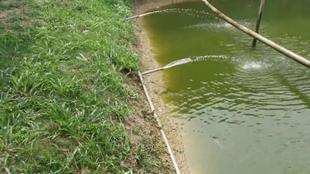 Water Flowing Pvc Pipe Line Pond — Vídeos de Stock