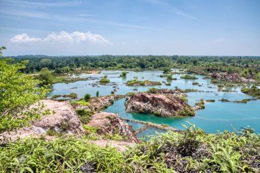 vegetation around the abandoned mine pond.
