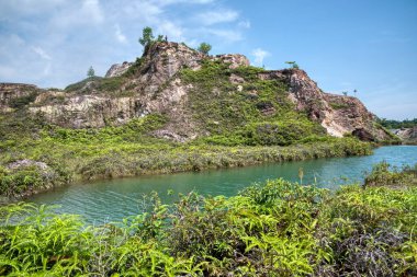 vegetation around the abandoned mine pond.